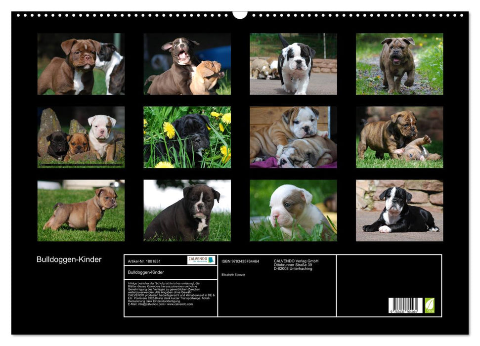 Bulldoggen-Kinder (CALVENDO Wandkalender 2025)