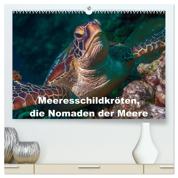 Meeresschildkröten, die Nomaden der Meere (CALVENDO Premium Wandkalender 2025)