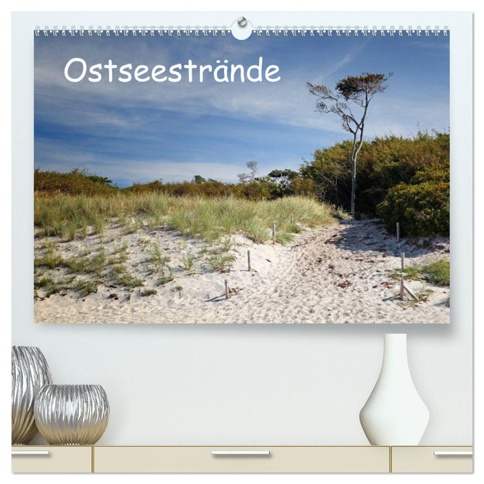 Ostseestrände (CALVENDO Premium Wandkalender 2025)