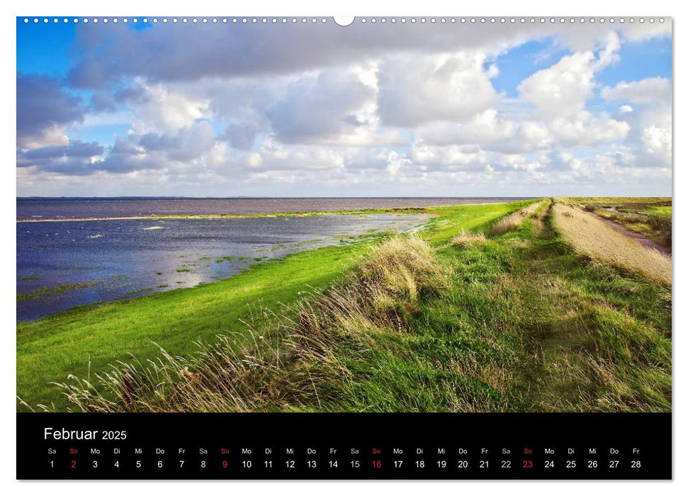 Dänemarks Nordseeküste (CALVENDO Premium Wandkalender 2025)