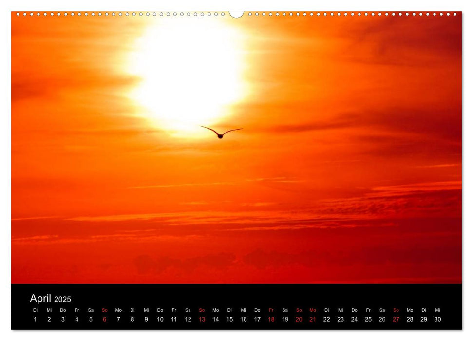 Dänemarks Nordseeküste (CALVENDO Premium Wandkalender 2025)