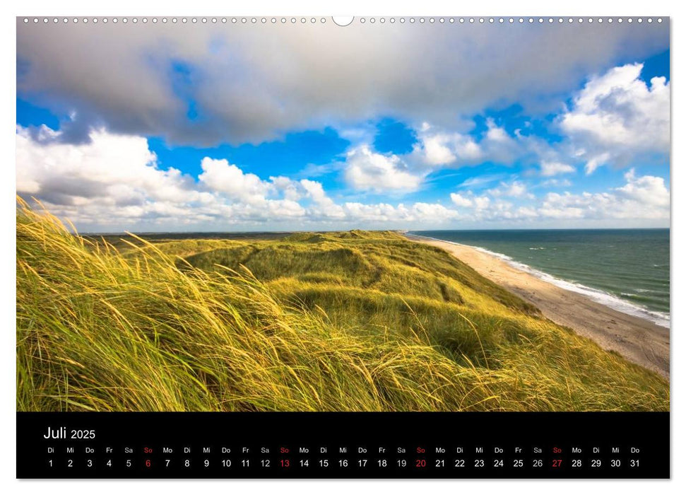 Dänemarks Nordseeküste (CALVENDO Premium Wandkalender 2025)