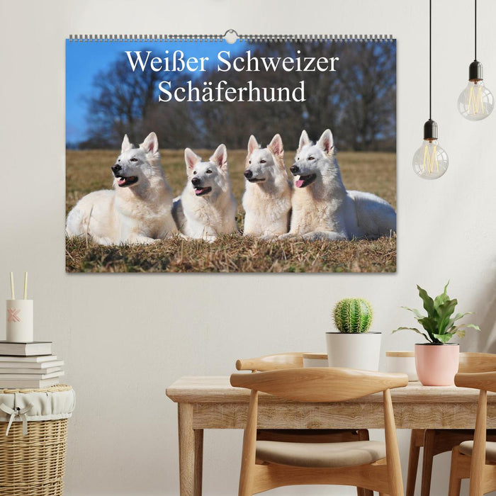 Weißer Schweizer Schäferhund (CALVENDO Wandkalender 2025)