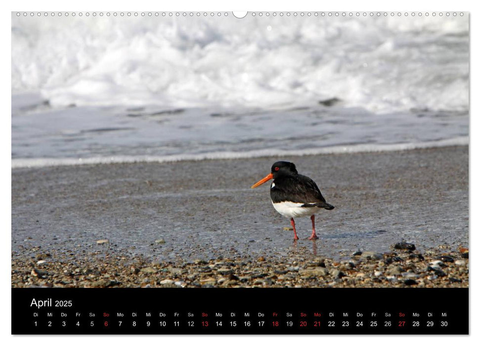 Helgoland (CALVENDO Premium Wandkalender 2025)