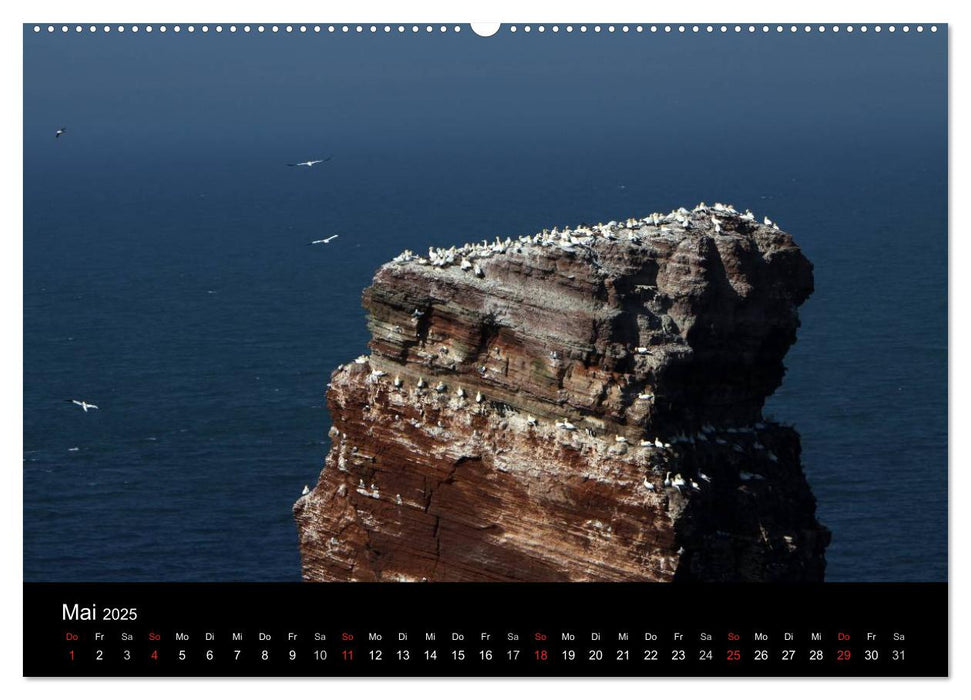 Helgoland (CALVENDO Premium Wandkalender 2025)