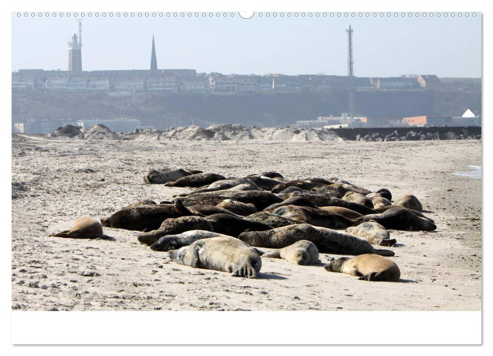 Helgoland (CALVENDO Premium Wandkalender 2025)