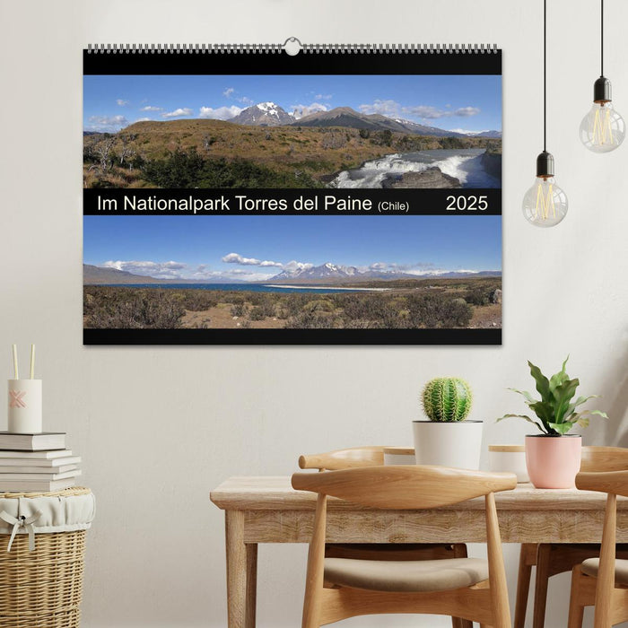 Im Nationalpark Torres del Paine (Chile) (CALVENDO Wandkalender 2025)