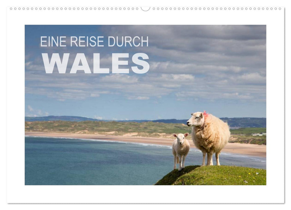 Eine Reise durch Wales (CALVENDO Wandkalender 2025)