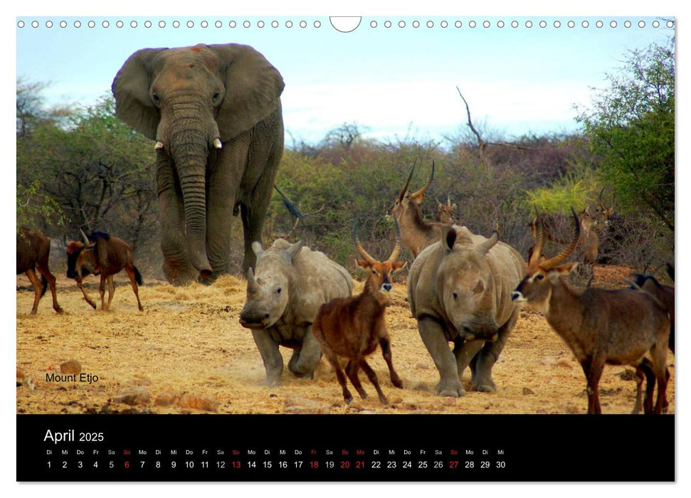 Namibia und Südliches Afrika - Tiere und Landschaften (CALVENDO Wandkalender 2025)