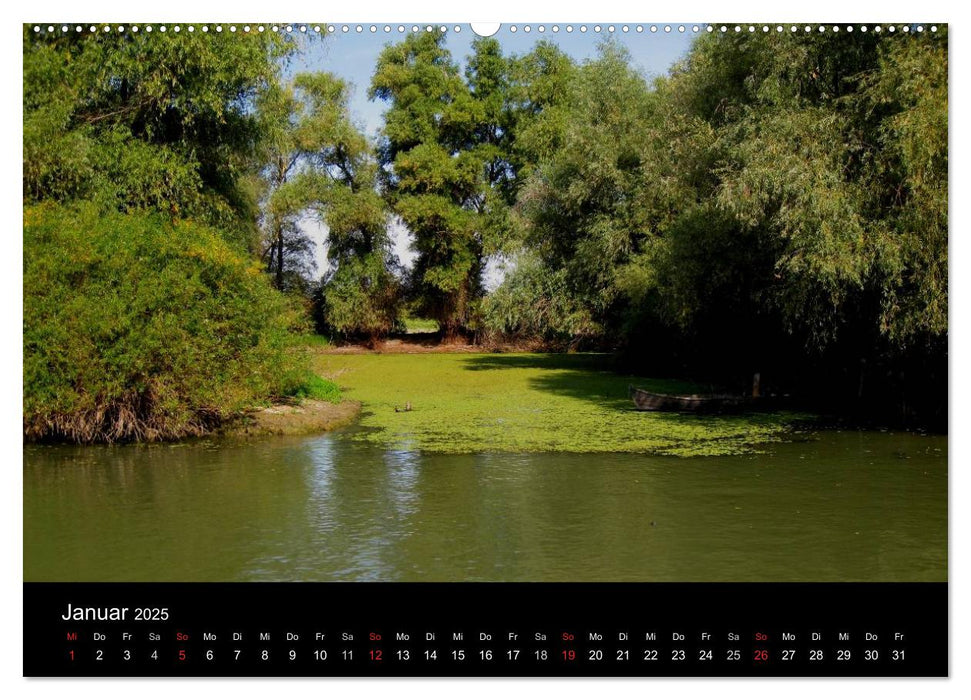 Donaudelta (CALVENDO Premium Wandkalender 2025)