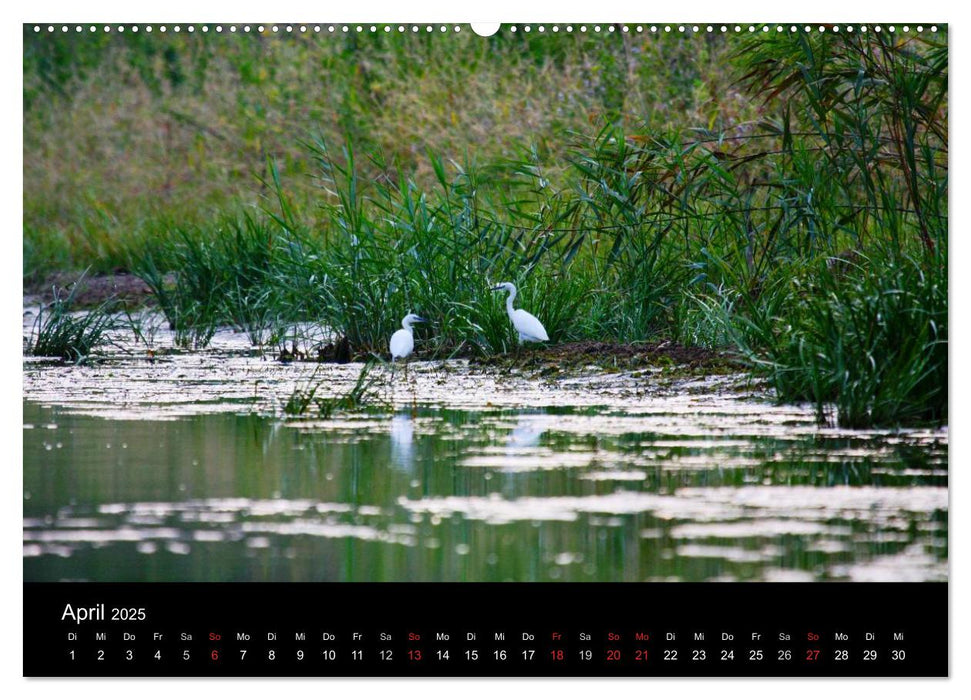 Donaudelta (CALVENDO Premium Wandkalender 2025)