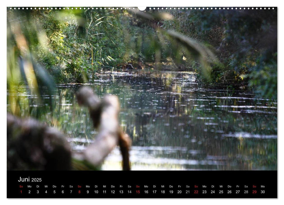 Donaudelta (CALVENDO Premium Wandkalender 2025)