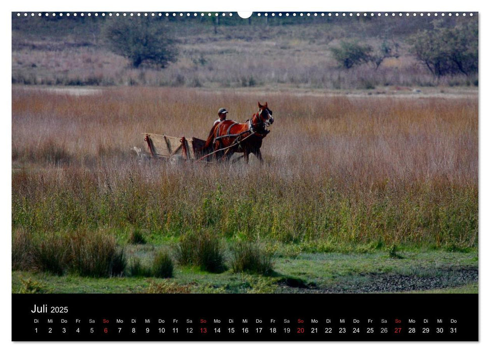 Donaudelta (CALVENDO Premium Wandkalender 2025)