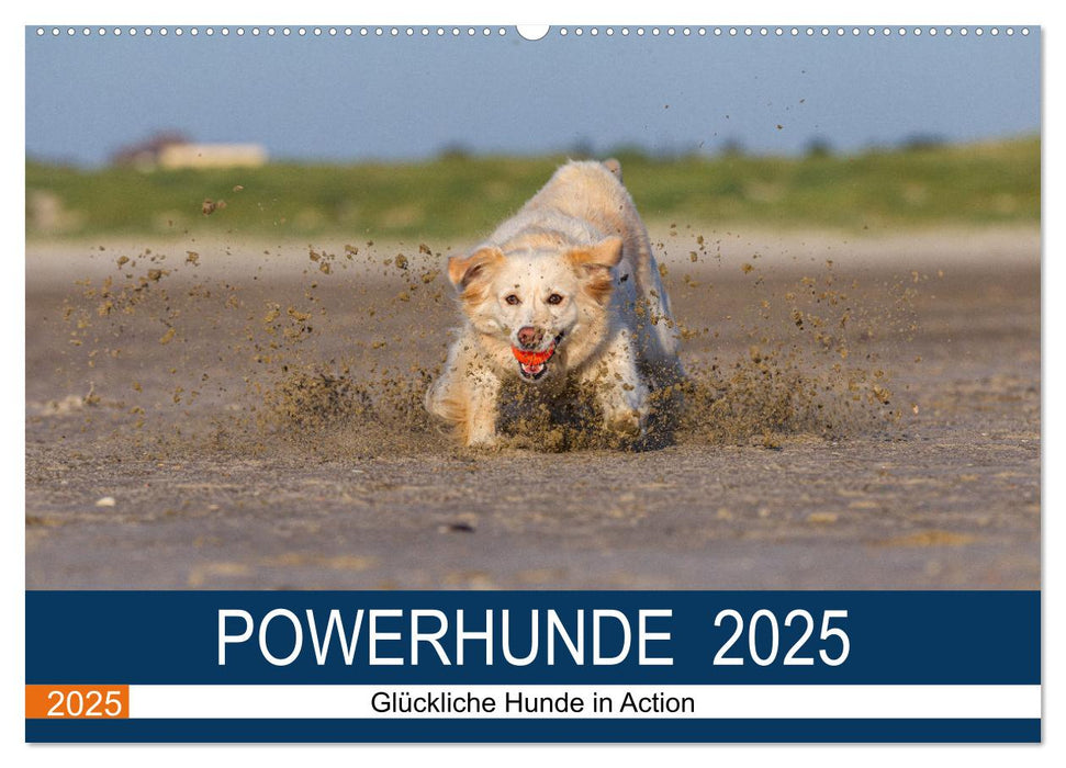 POWERHUNDE 2025 (CALVENDO Wandkalender 2025)