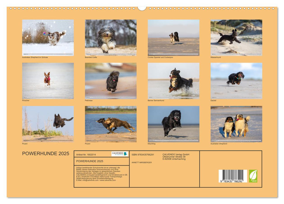 POWERHUNDE 2025 (CALVENDO Wandkalender 2025)