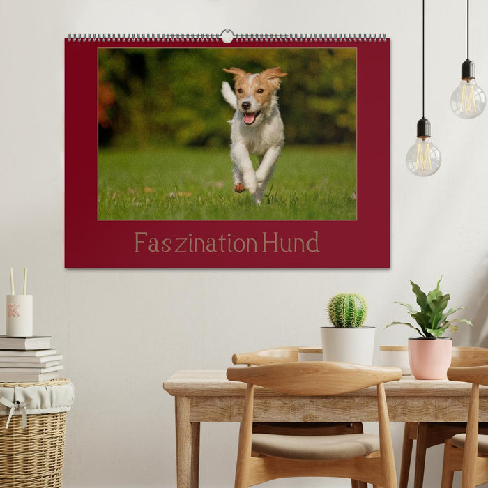Faszination Hund (CALVENDO Wandkalender 2025)