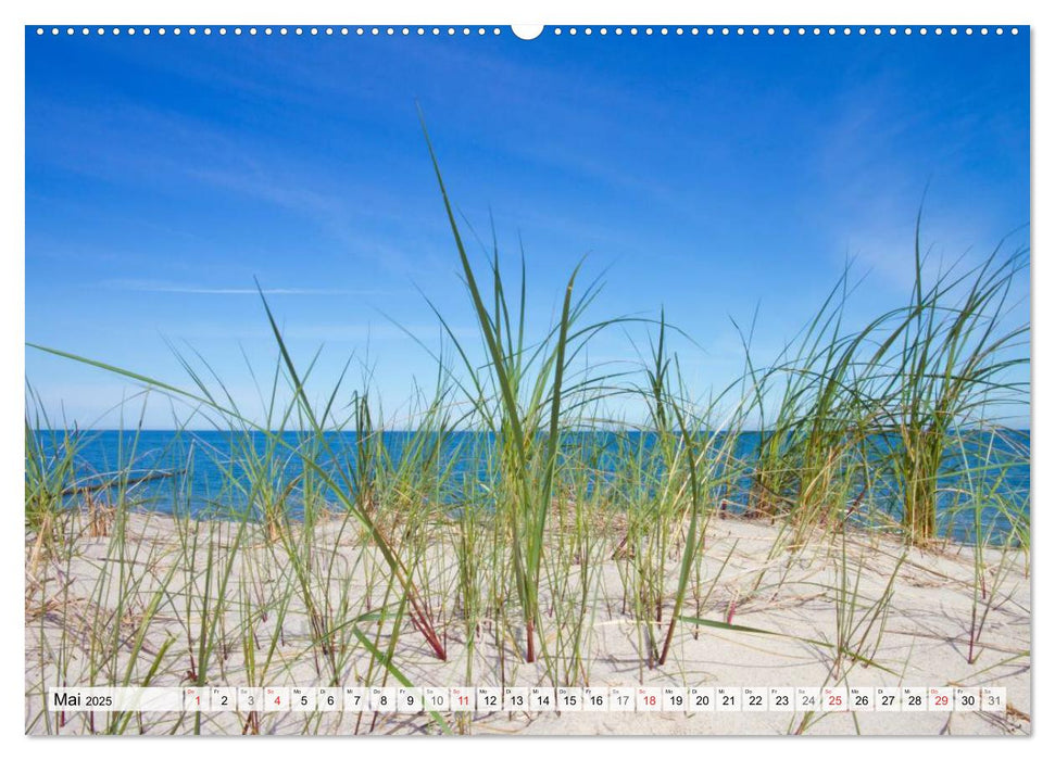 Sonne, Strand & Meer (CALVENDO Wandkalender 2025)