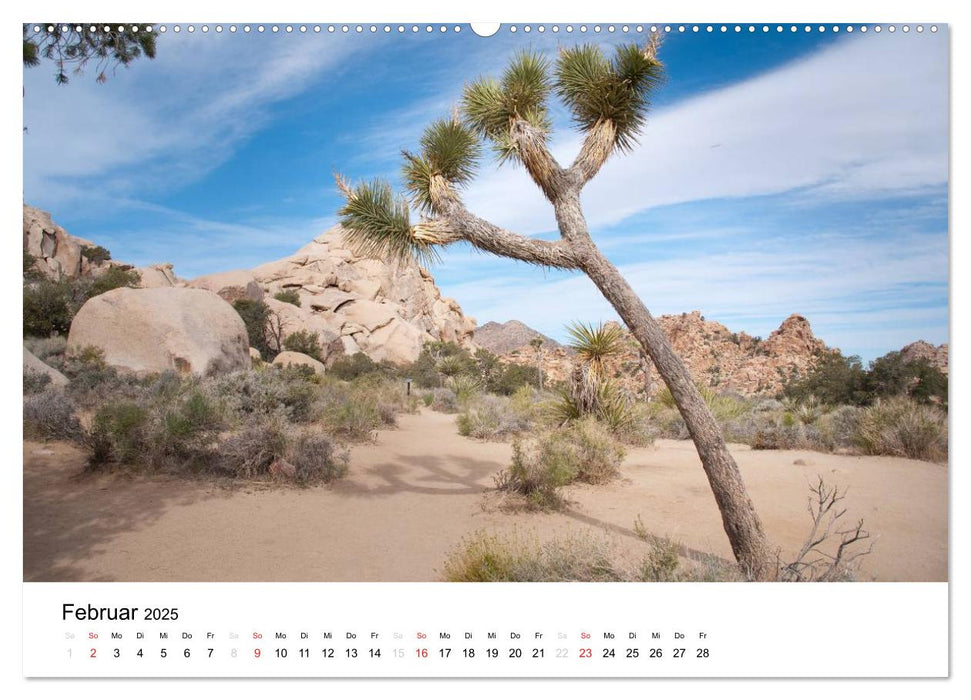 Route 66 Revisited (CALVENDO Premium Wandkalender 2025)