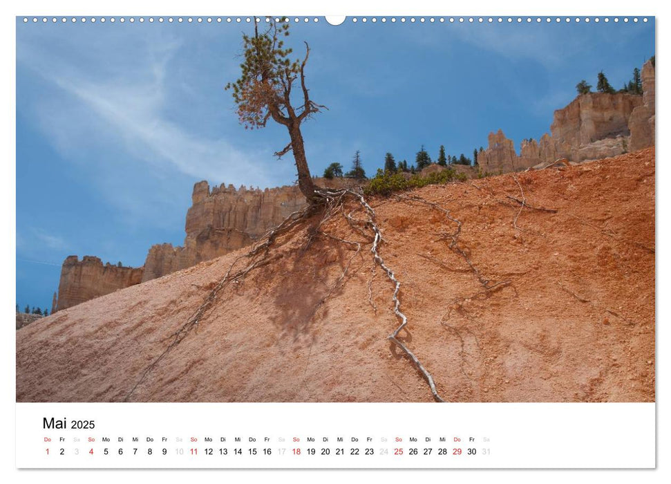 Route 66 Revisited (CALVENDO Premium Wandkalender 2025)