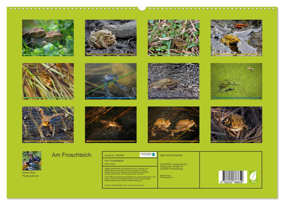 Am Froschteich (CALVENDO Premium Wandkalender 2025)