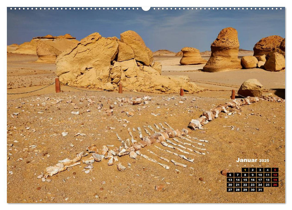 Ägypten – westliche Wüsten (CALVENDO Wandkalender 2025)