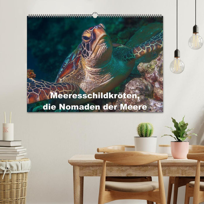 Meeresschildkröten, die Nomaden der Meere (CALVENDO Wandkalender 2025)