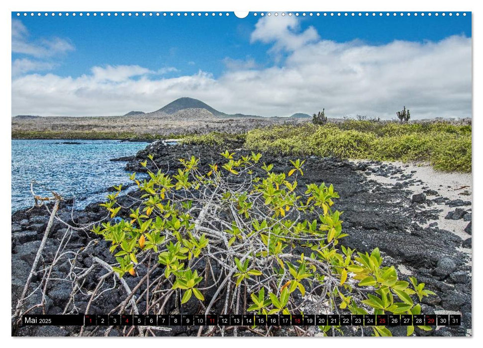 Galapagos (CALVENDO Premium Wandkalender 2025)