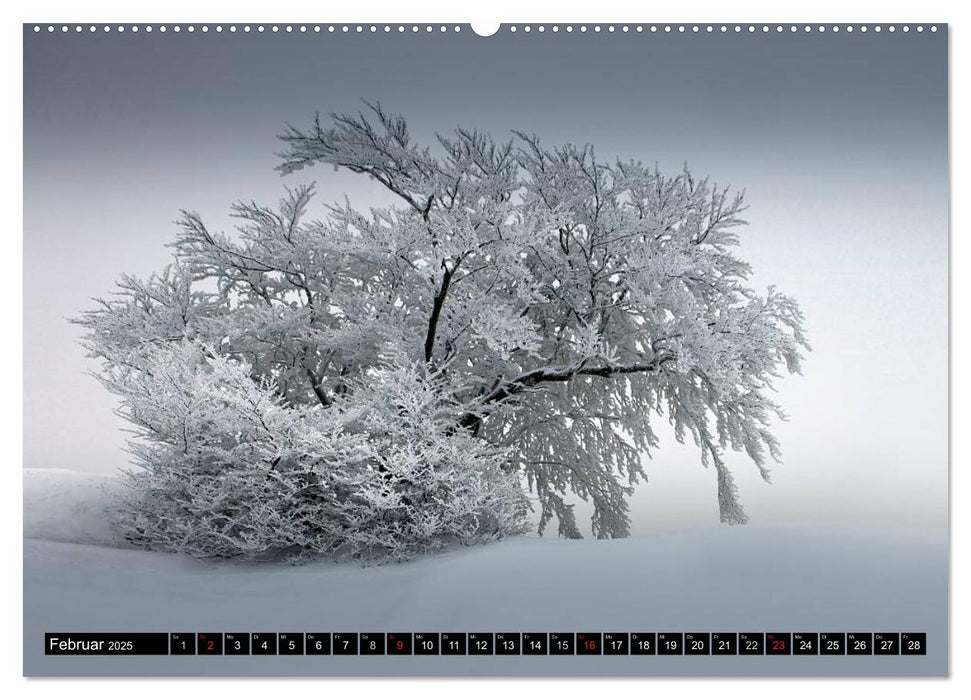 WETTER-LANDSCHAFTEN (CALVENDO Wandkalender 2025)