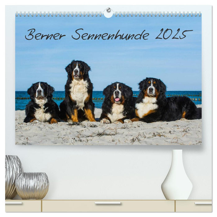 Berner Sennenhund 2025 (CALVENDO Premium Wandkalender 2025)