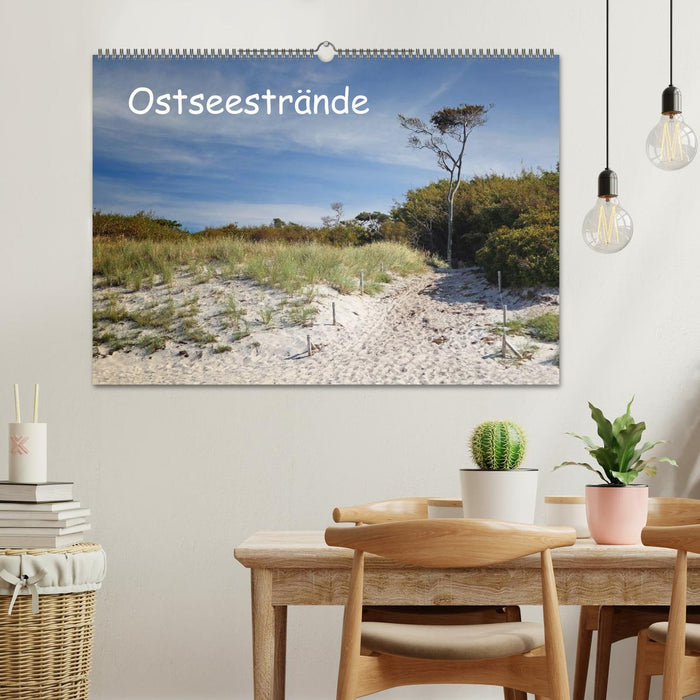 Ostseestrände (CALVENDO Wandkalender 2025)