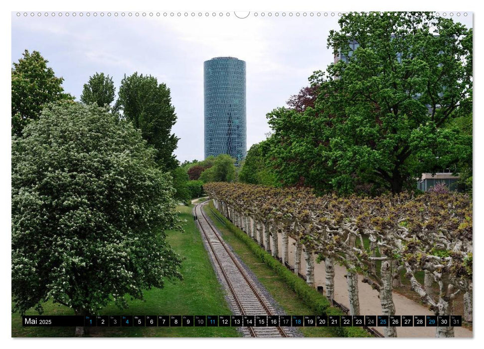 Frankfurt am Main (CALVENDO Premium Wandkalender 2025)