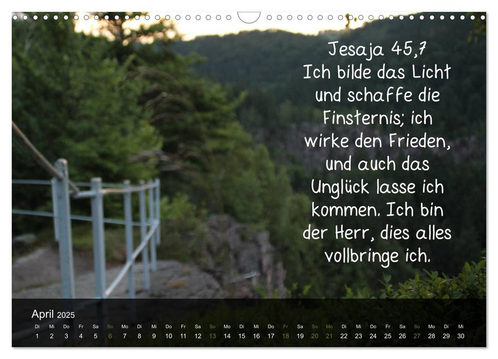 Schöpfung im Licht (CALVENDO Wandkalender 2025)