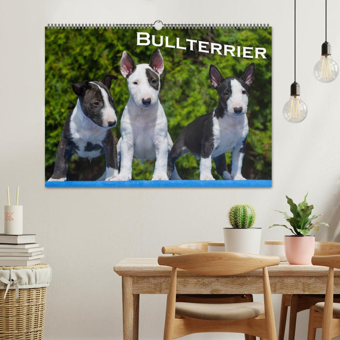 Bullterrier (CALVENDO Wandkalender 2025)