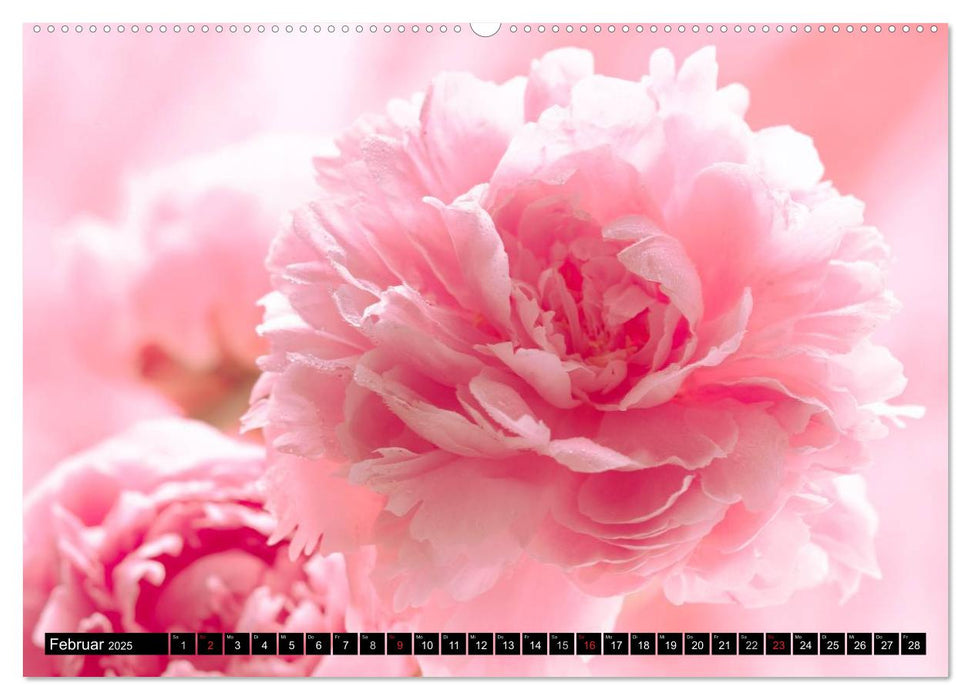 Flowers / 2025 (CALVENDO Premium Wandkalender 2025)