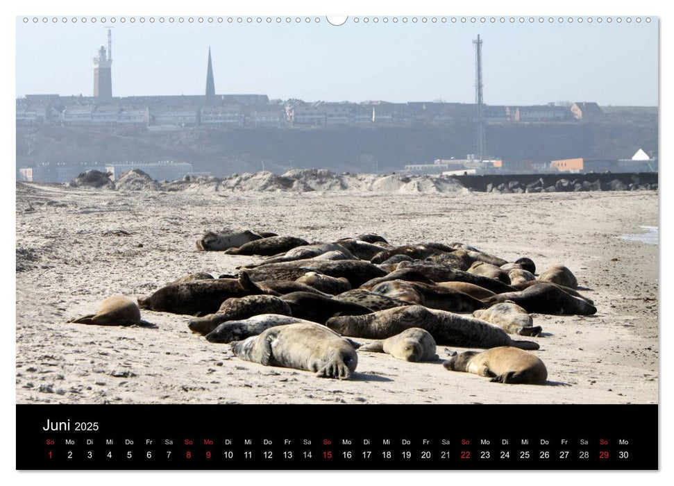 Helgoland (CALVENDO Wandkalender 2025)