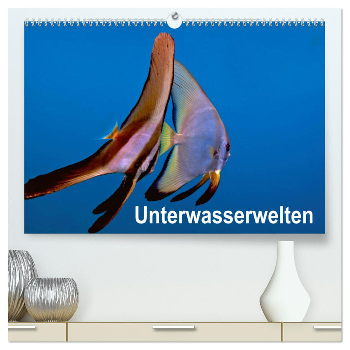 Unterwasserwelten (CALVENDO Premium Wandkalender 2025)