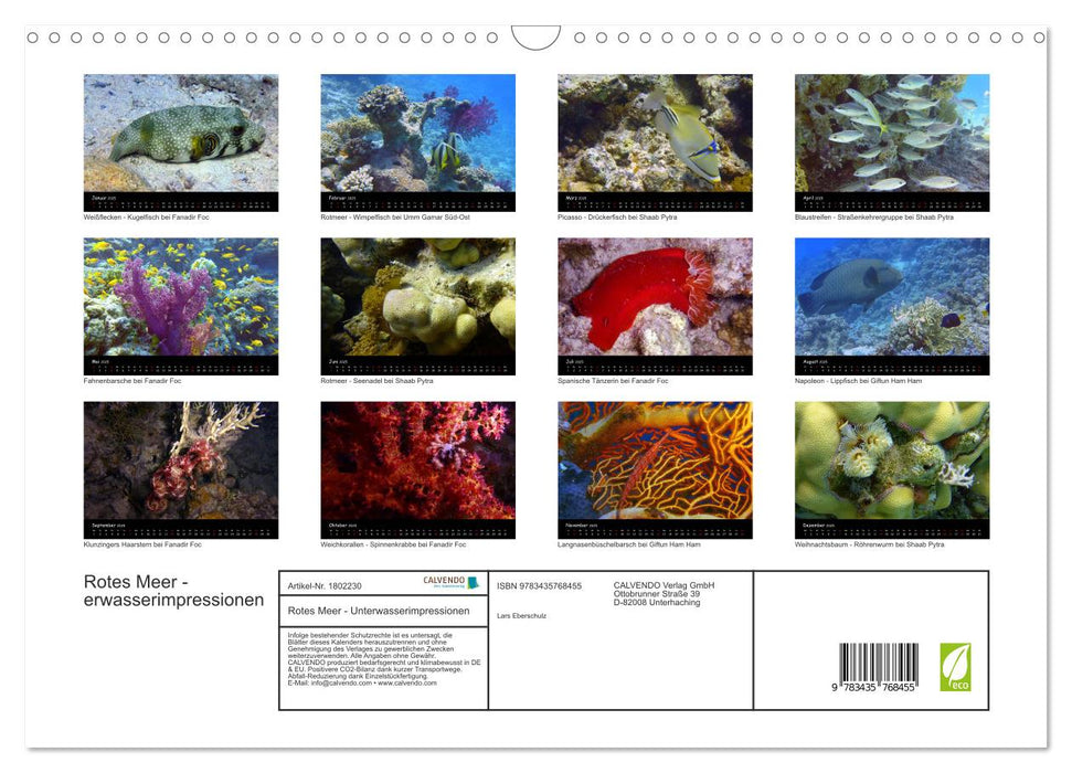 Rotes Meer - Unterwasserimpressionen (CALVENDO Wandkalender 2025)