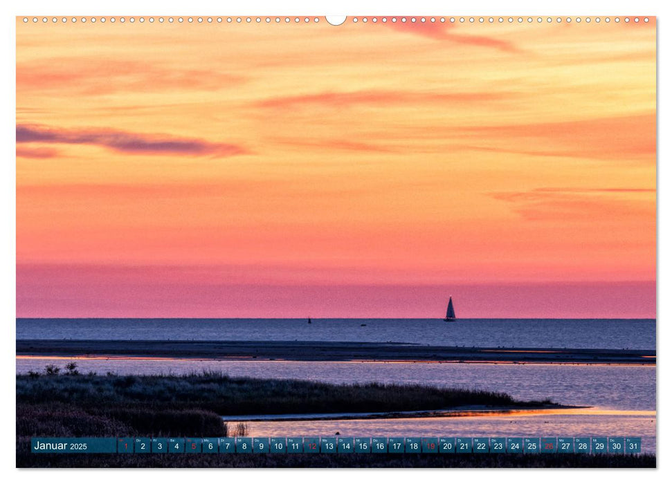 Darß-Zingst Naturimpressionen (CALVENDO Premium Wandkalender 2025)