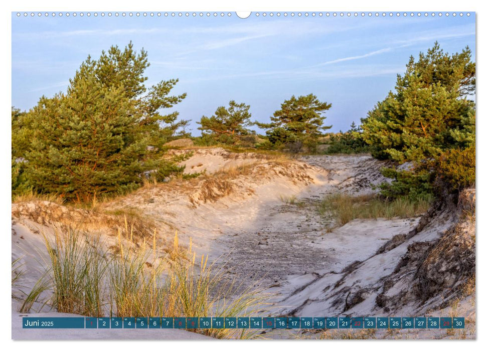 Darß-Zingst Naturimpressionen (CALVENDO Premium Wandkalender 2025)