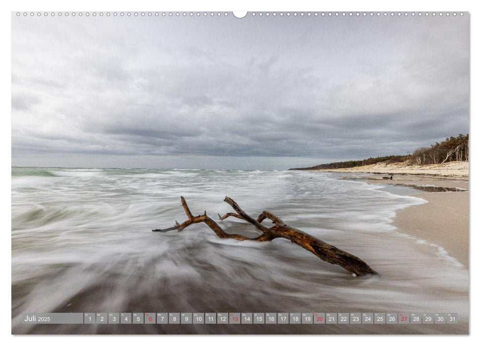 Darß-Zingst Naturimpressionen (CALVENDO Premium Wandkalender 2025)