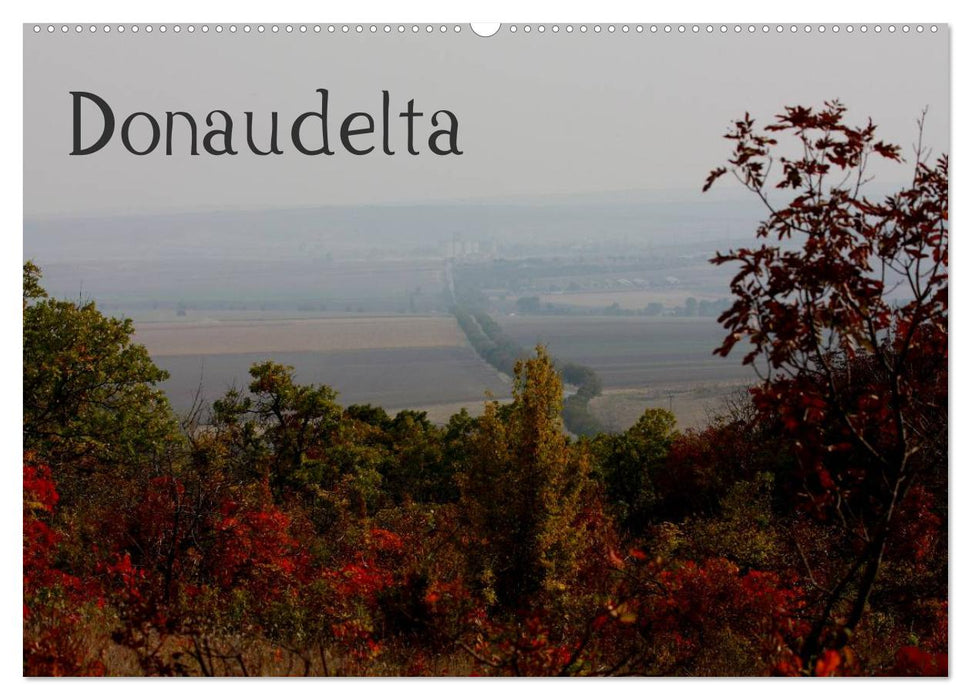 Donaudelta (CALVENDO Wandkalender 2025)