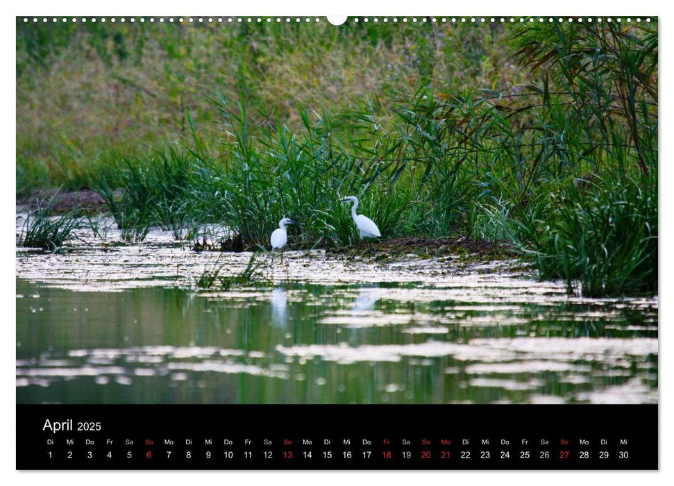 Donaudelta (CALVENDO Wandkalender 2025)