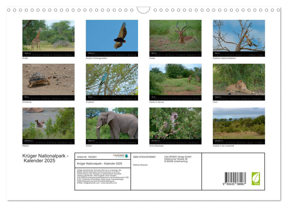 Krüger Nationalpark - Kalender 2025 (CALVENDO Wandkalender 2025)