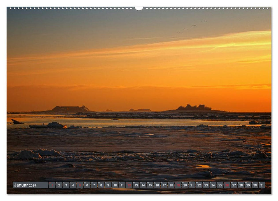 Die Hallig Langeneß (CALVENDO Wandkalender 2025)