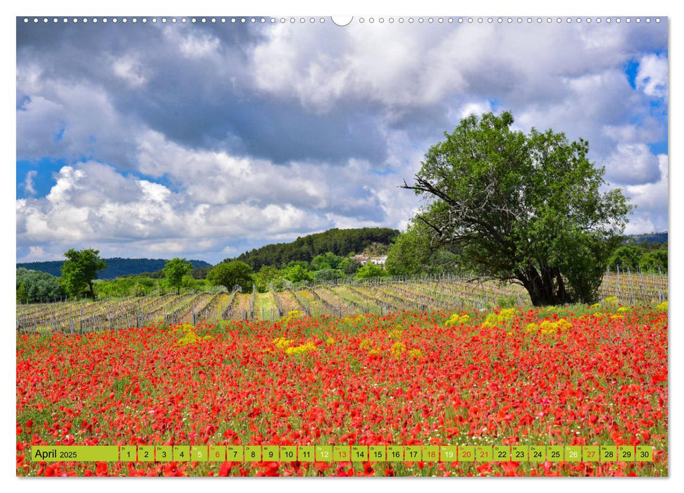 Wo die Provence am schönsten ist (CALVENDO Premium Wandkalender 2025)