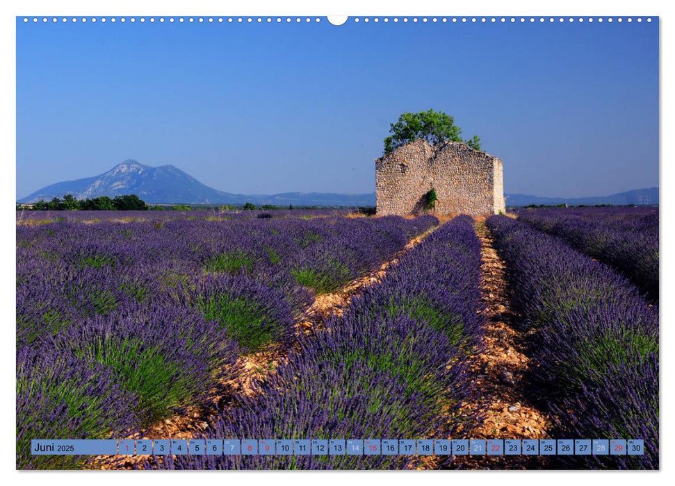 Wo die Provence am schönsten ist (CALVENDO Premium Wandkalender 2025)