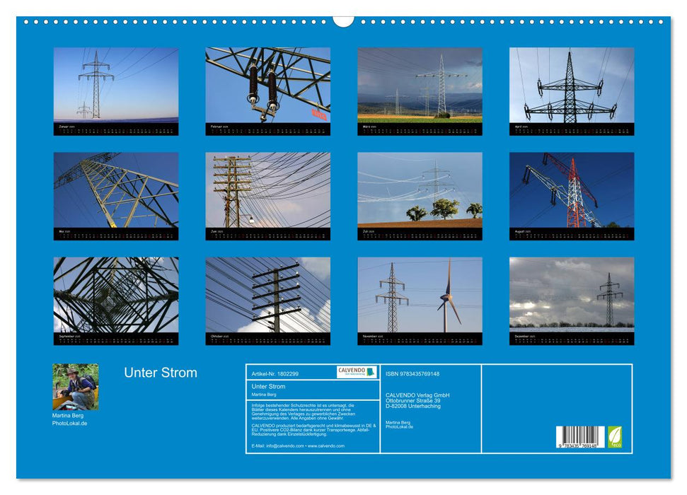 Unter Strom (CALVENDO Wandkalender 2025)