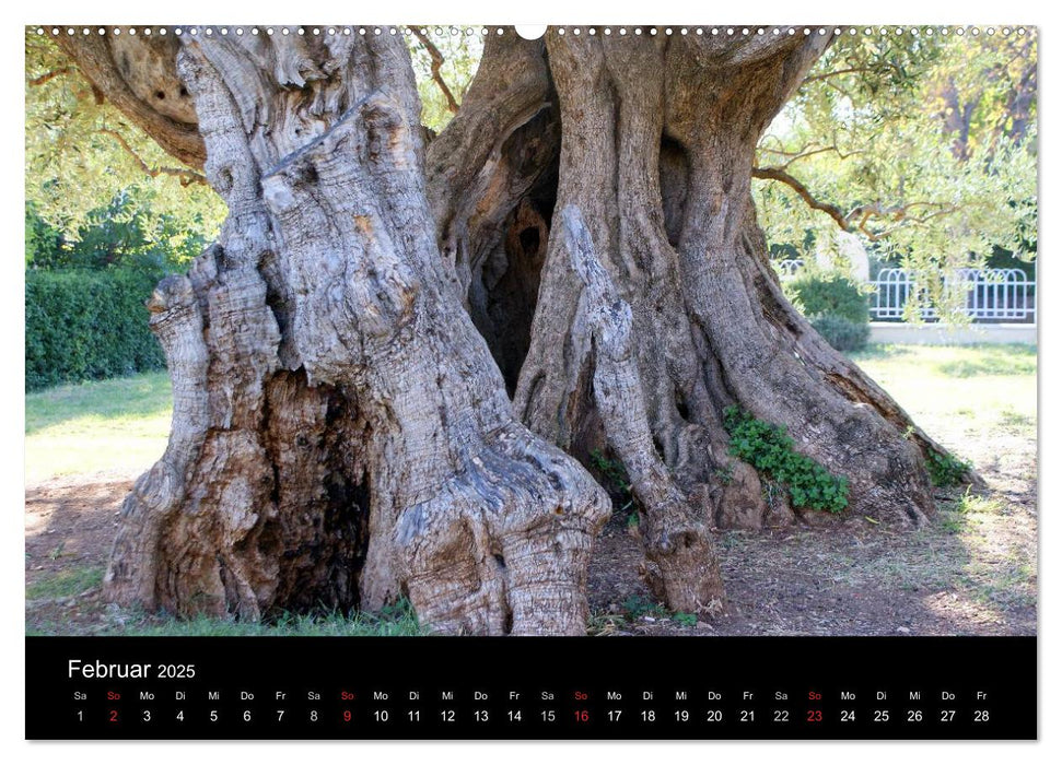 Dalmatien 2025 (CALVENDO Premium Wandkalender 2025)