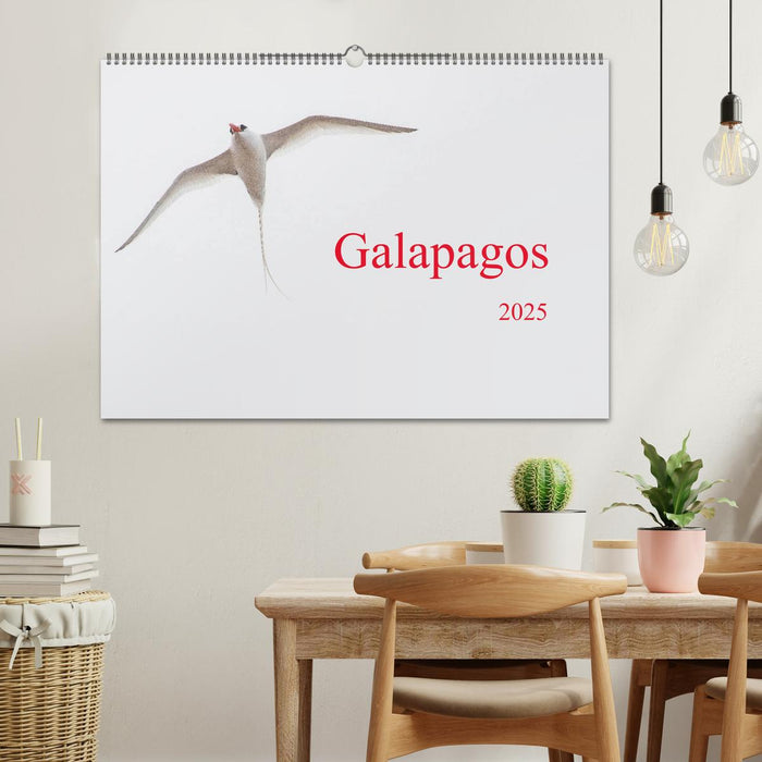 Galapagos (CALVENDO Wandkalender 2025)