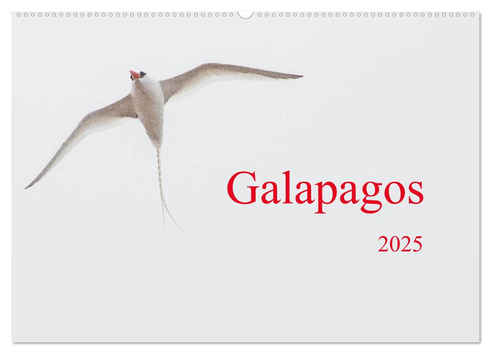 Galapagos (CALVENDO Wandkalender 2025)